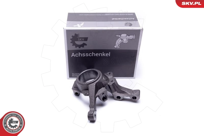 Steering Knuckle, wheel suspension